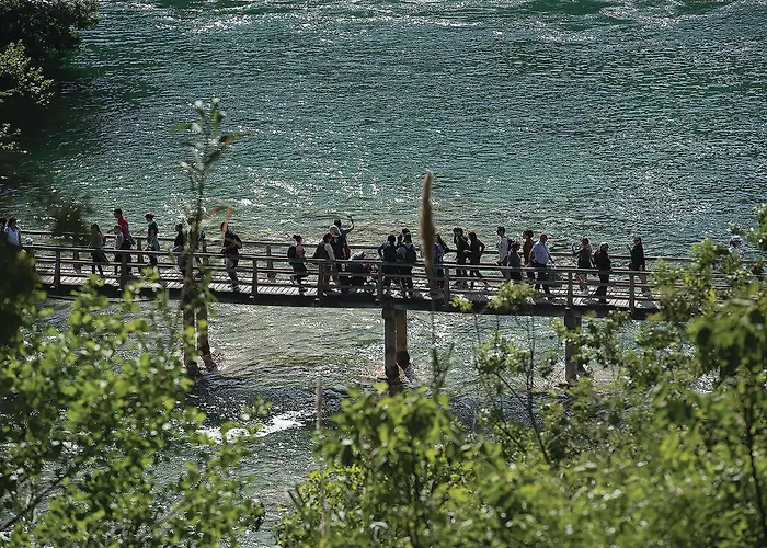 Cozy In Vakantiehuis